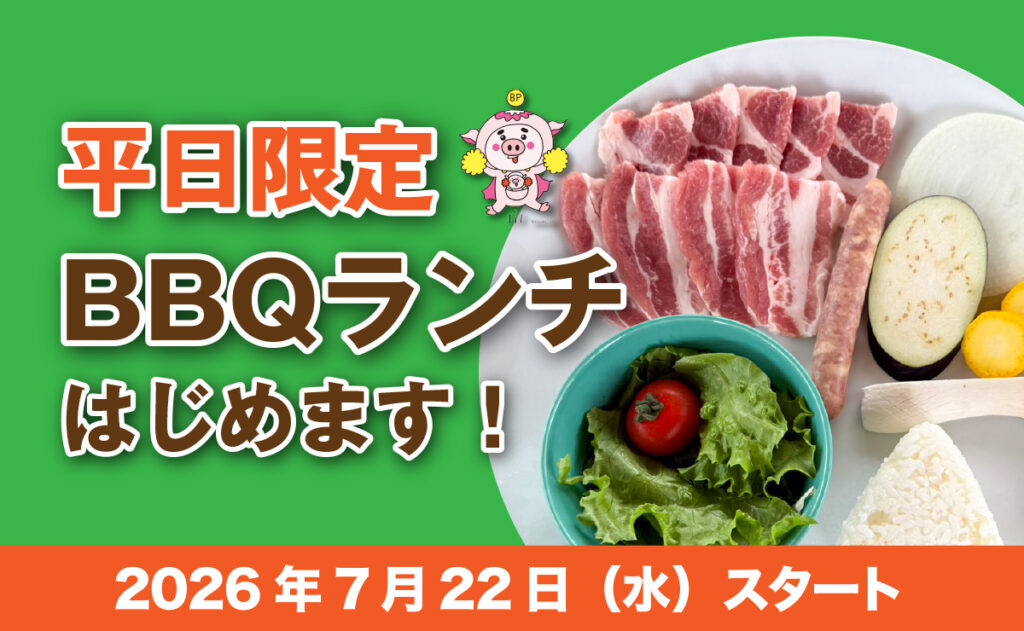 平日限定瑞浪ボーノポークBBQランチ